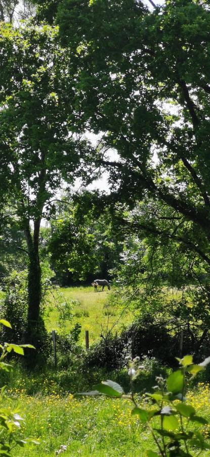 Camping De La Chagnee Saint-Aubin-le-Cloud Eksteriør billede