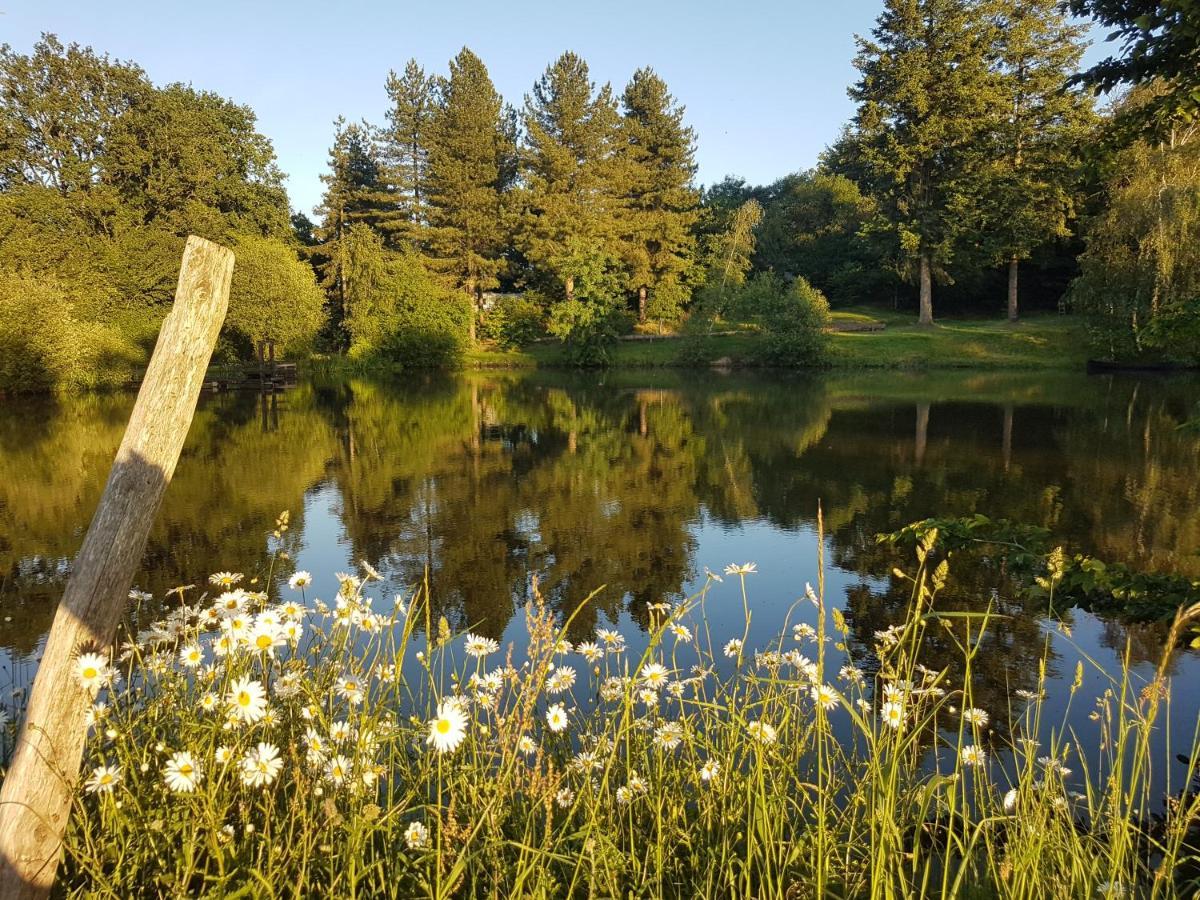 Camping De La Chagnee Saint-Aubin-le-Cloud Eksteriør billede