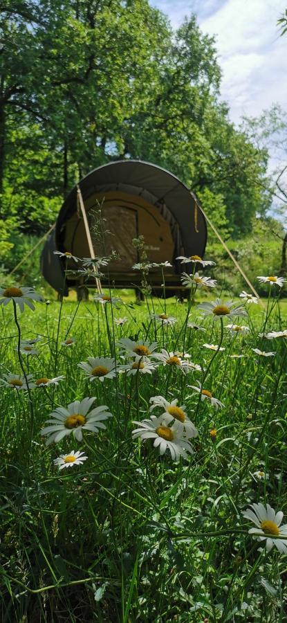 Camping De La Chagnee Saint-Aubin-le-Cloud Eksteriør billede