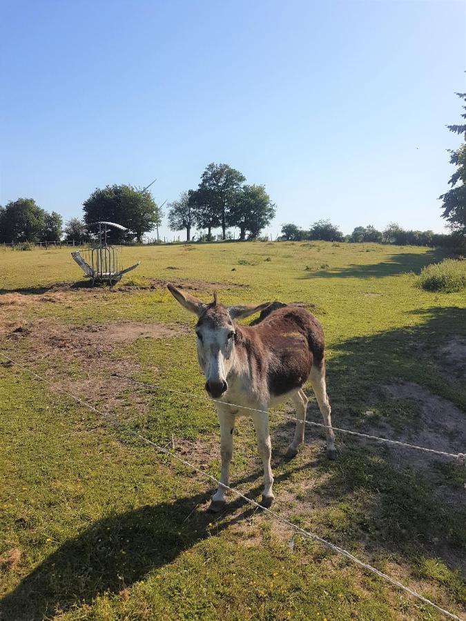 Camping De La Chagnee Saint-Aubin-le-Cloud Eksteriør billede